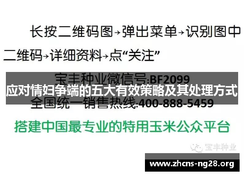应对情妇争端的五大有效策略及其处理方式 应对情妇争端的五大有效策略及其处理方式