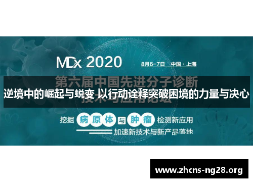 逆境中的崛起与蜕变 以行动诠释突破困境的力量与决心 逆境中的崛起与蜕变 以行动诠释突破困境的力量与决心